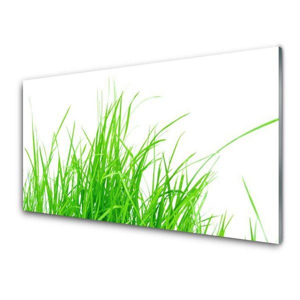 Transparenţă Plantă De Iarbă