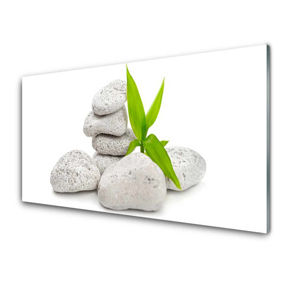 Transparenţă Planta De Pietre