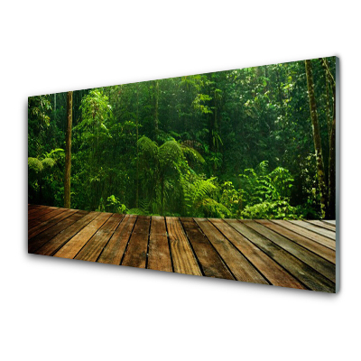 Transparenţă Forest Nature Plant