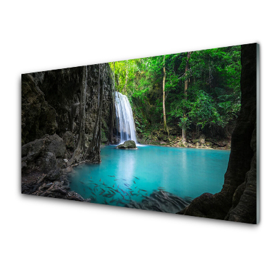 Transparenţă Lac Adânc În Pădure Natură