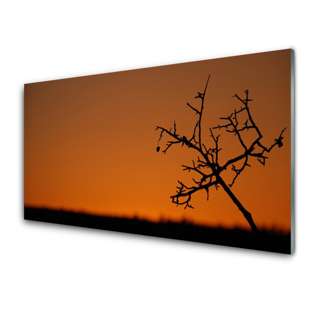 Transparenţă Conturul Unui Copac Apus De Soare