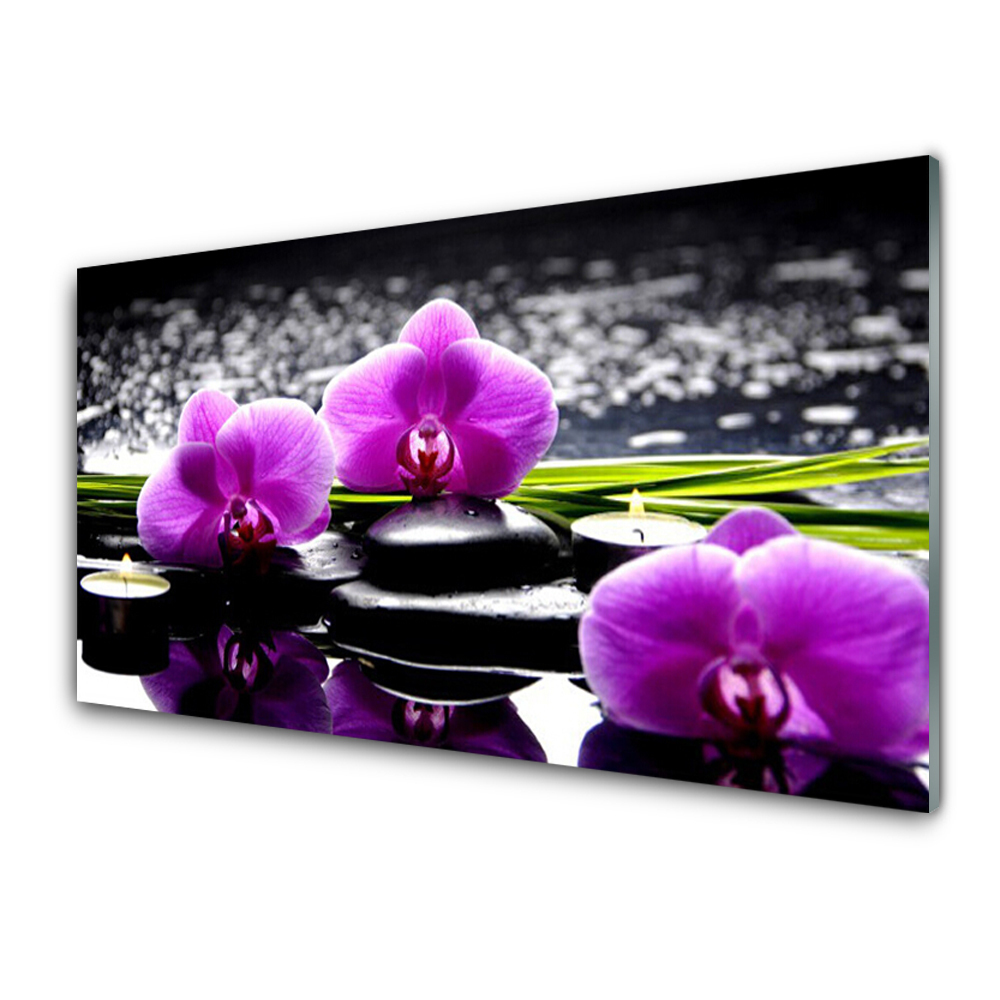 Transparenţă Orhidee Violet Pe Pietre