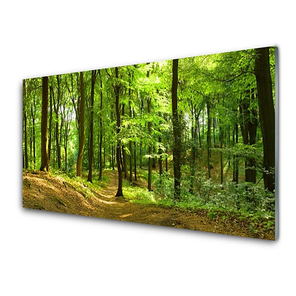 Transparenţă Poteca Printre Copaci Din Pădure