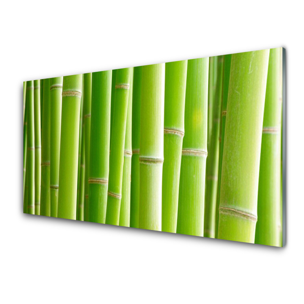 Transparenţă Tulpini De Bambus