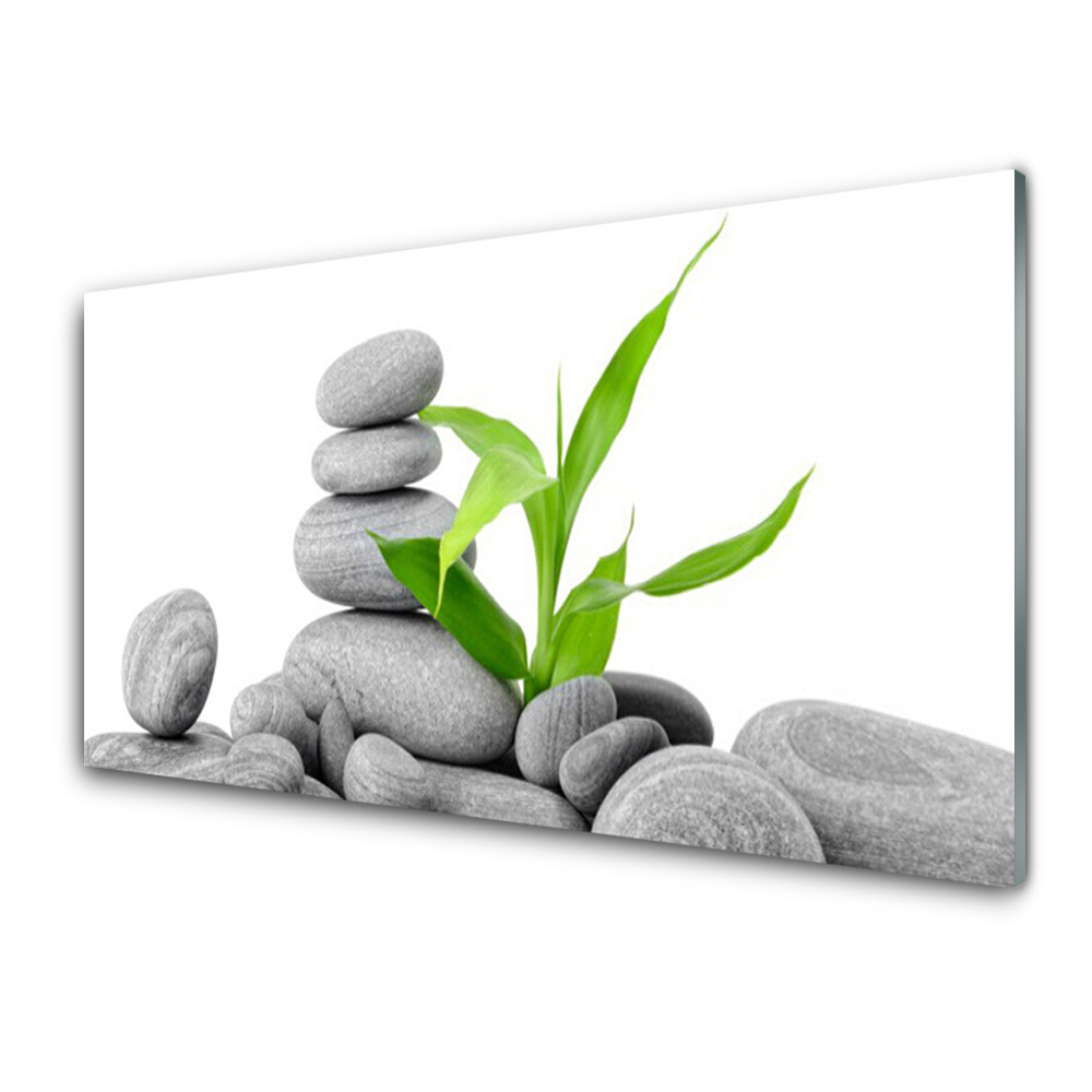 Transparenţă Turnul Pietrelor Și Frunzelor