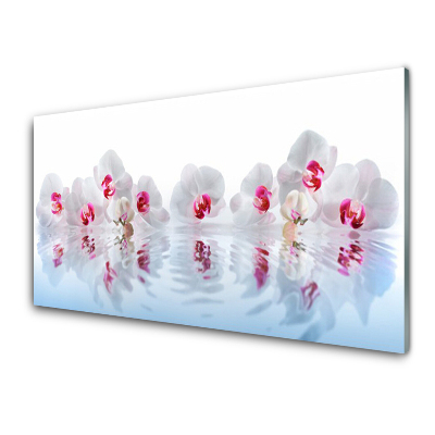 Transparenţă Flori Albe De Orhidee Și Apă