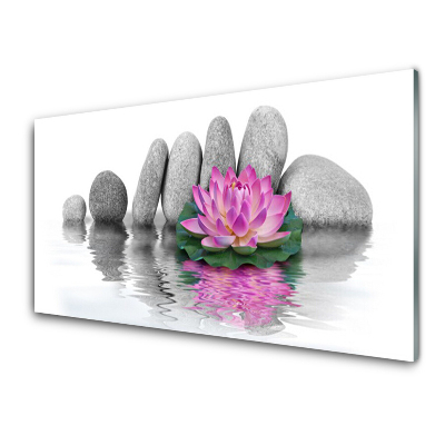 Transparenţă Crin Roz Pe Un Fundal De Pietre