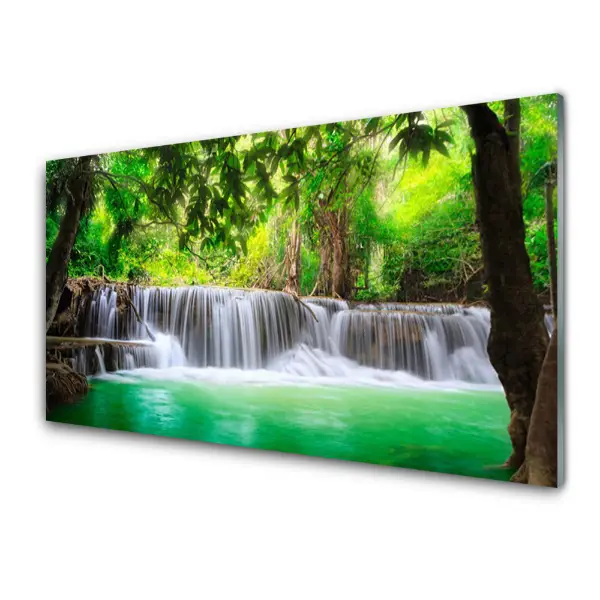 Transparenţă Cascada Lac Pădure Natura