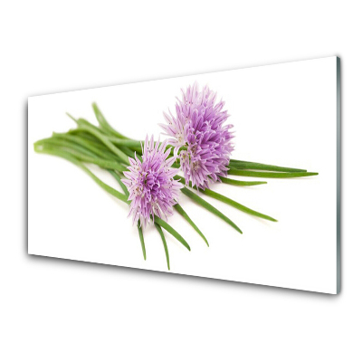 Transparenţă Usturoi Sălbatic