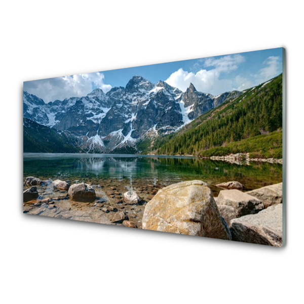 Transparenţă Munții Pădure Lacul Munții Tatra
