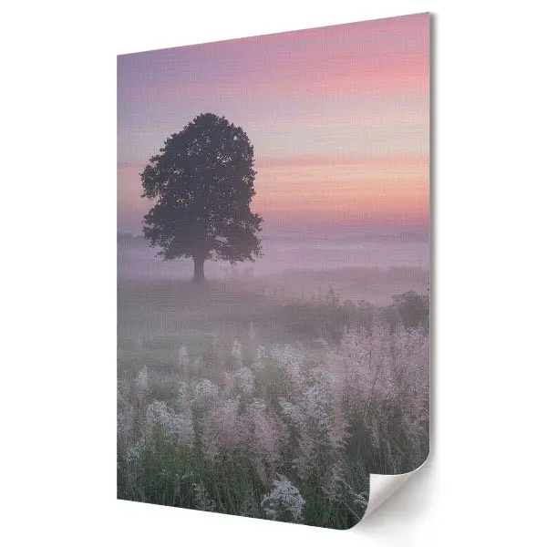 Poster decorativ O dimineață liniștită într-un peisaj învăluit în ceață