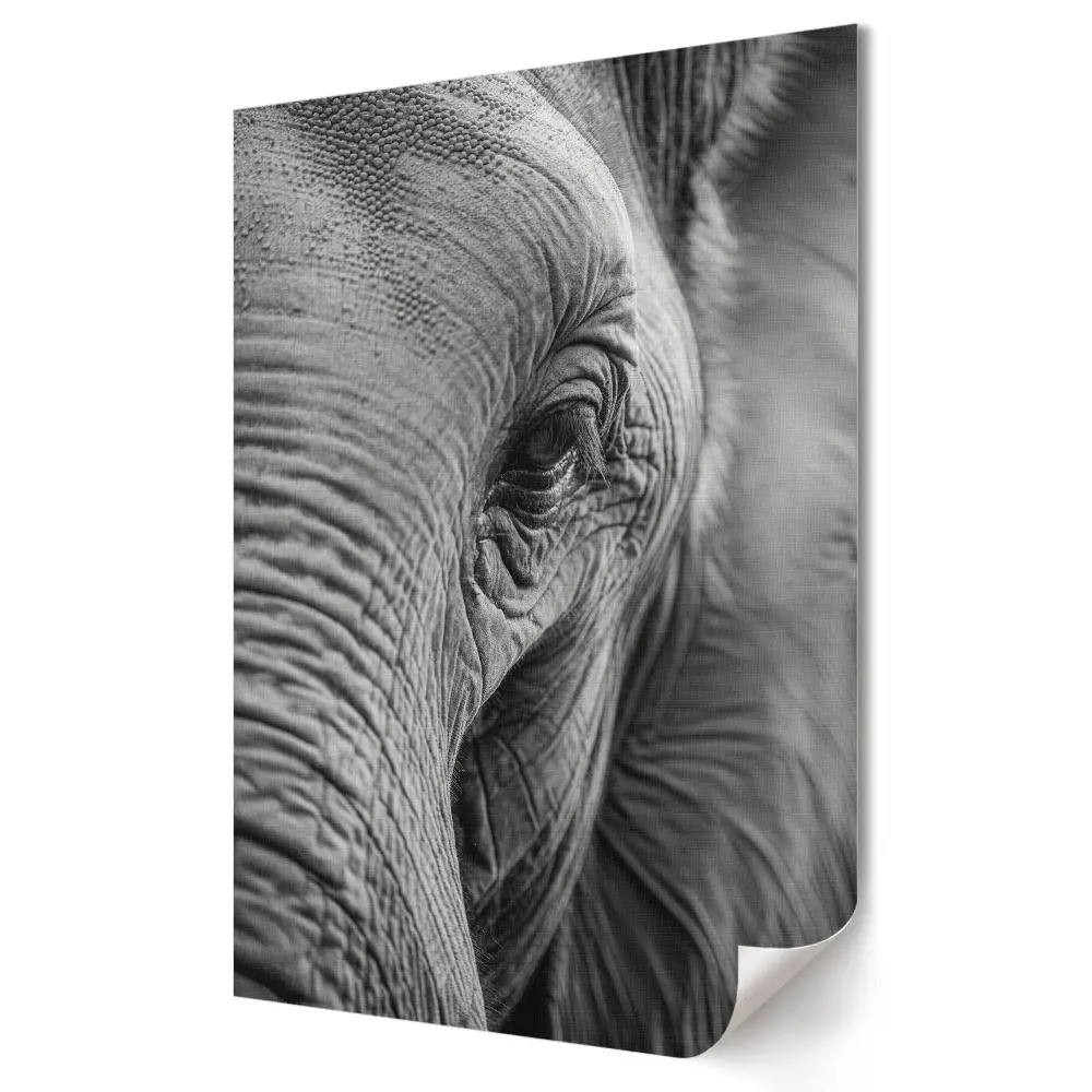 Tablou canvas Grafica murală Aproape de măreția elefantului