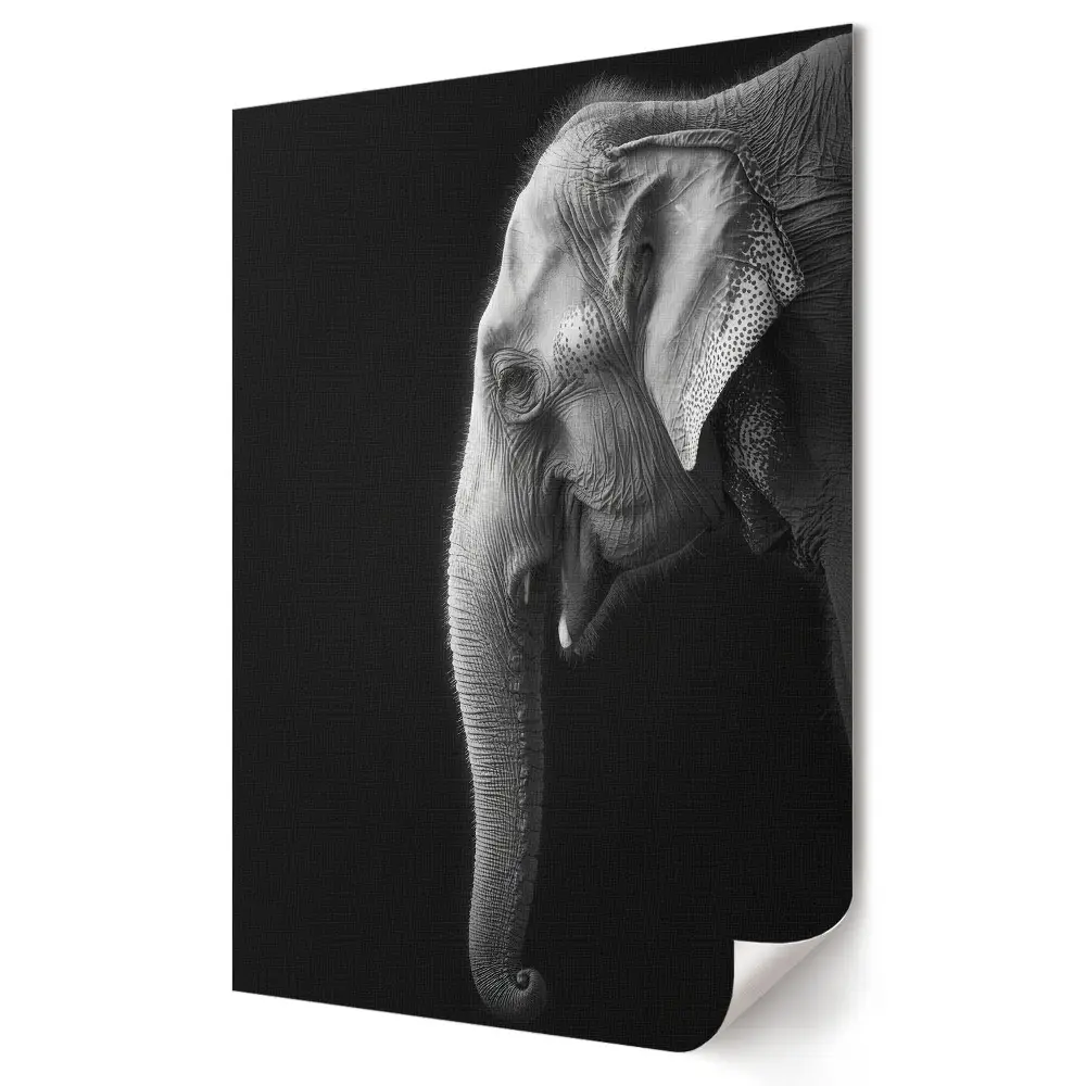 Poster de perete cu elefant alb-negru