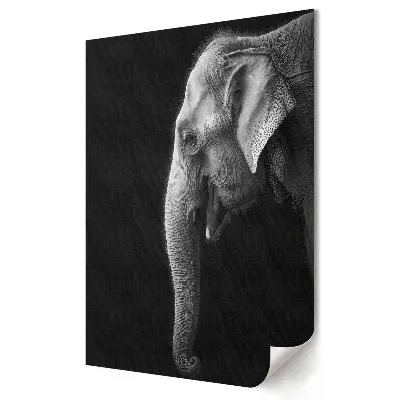 Poster de perete cu elefant alb-negru