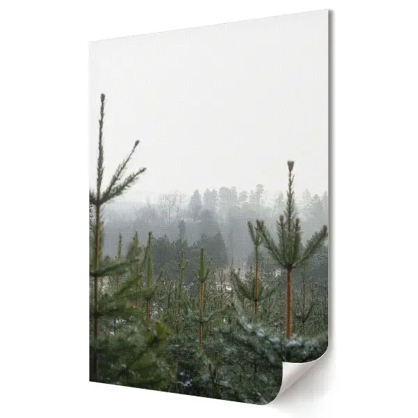 Tablou canvas cu peisaj de pădure de iarnă în ceață