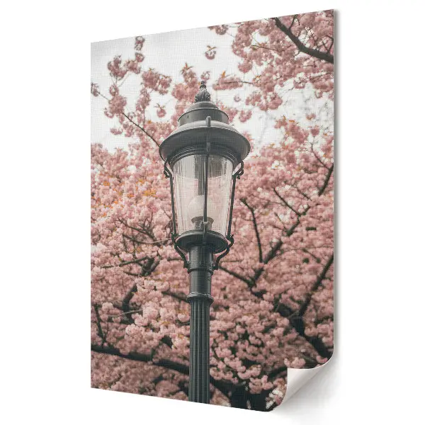 Tablou canvas Farmecul unei seri de primăvară sub lampă