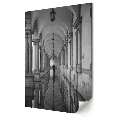 Poster de perete O călătorie solitară într-o lume monocromatică