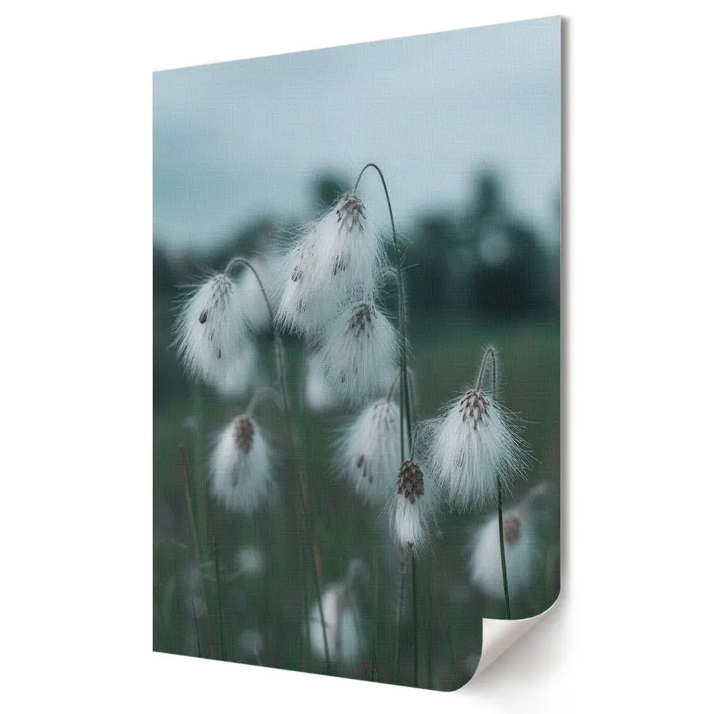 Poster decorativ cu flori delicate în haine de iarnă