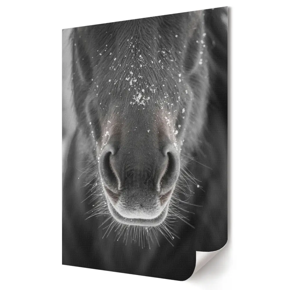 Tablou canvas cu prim-planul unui cal în decor de iarnă