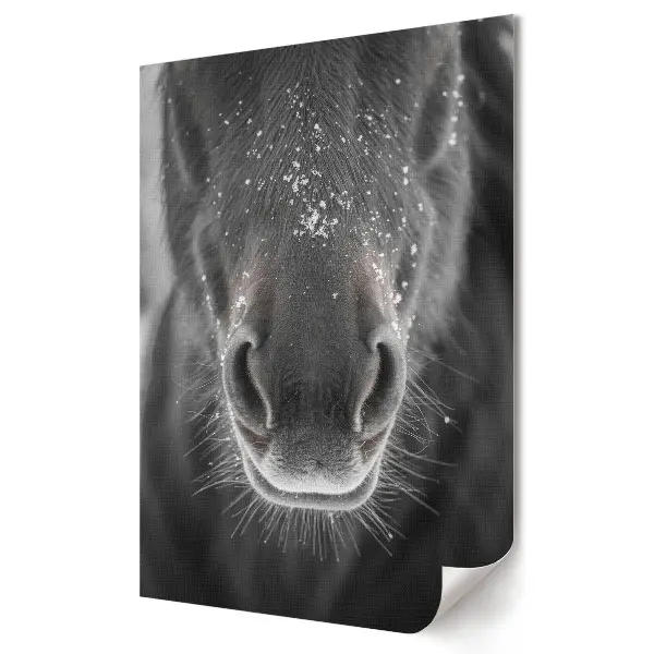 Tablou canvas cu prim-planul unui cal în decor de iarnă