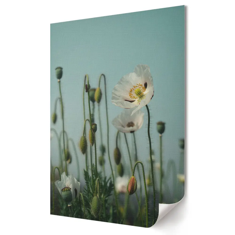 Tablou canvas cu grafică murală Delicatețea florilor în soarele de vară