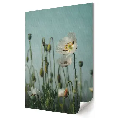 Tablou canvas cu grafică murală Delicatețea florilor în soarele de vară