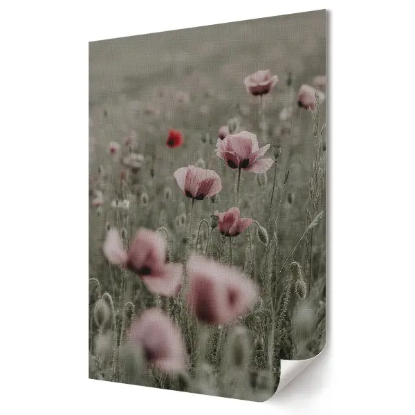 Poster decorativ cu câmpuri delicate de maci în nuanțe de gri