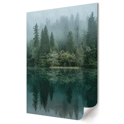Poster decorativ Seninătatea Naturii Păduri și Reflecții