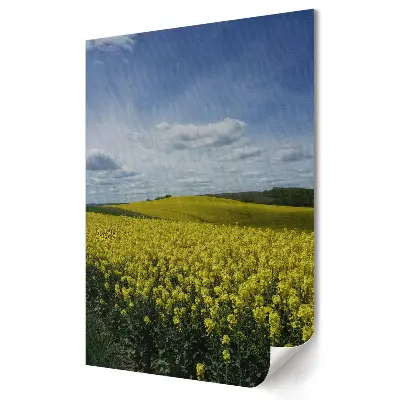 Tablou canvas Câmpuri de aur sub cer
