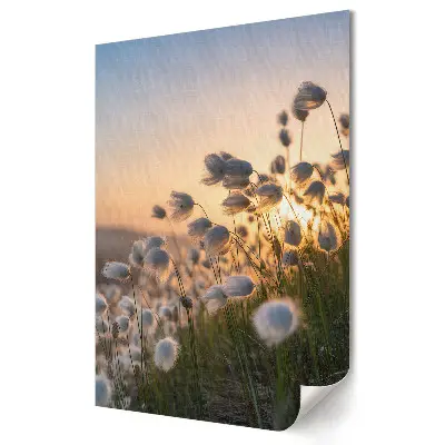 Tablou canvas Flori delicate în soarele apus