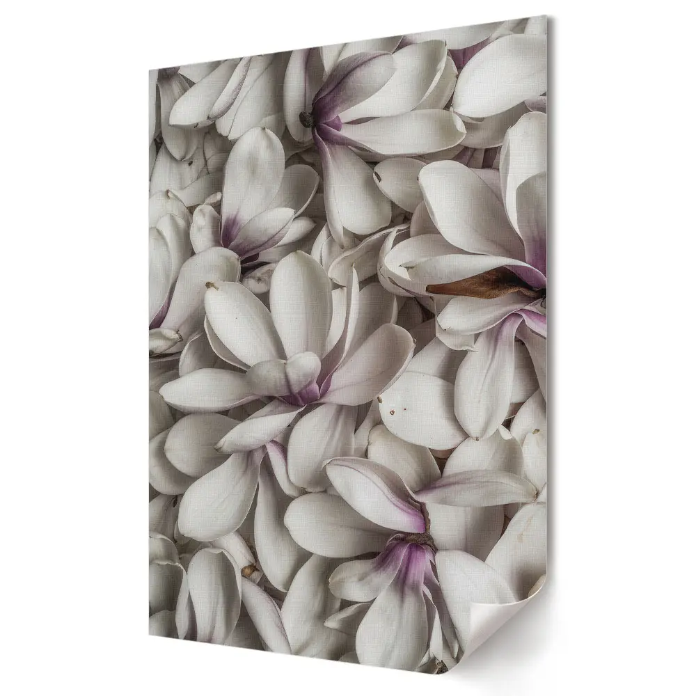 Poster de perete cu flori albe de magnolie