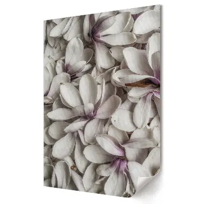 Poster de perete cu flori albe de magnolie