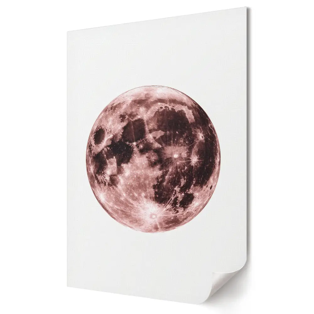 Tablou canvas Noaptea Magică a Lunii Roz