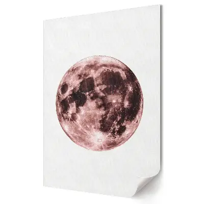 Tablou canvas Noaptea Magică a Lunii Roz