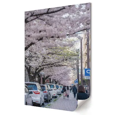 Tablou canvas O plimbare sub cireșii înfloriți