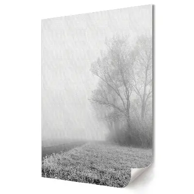 Tablou canvas Dimineață de iarnă în ceață