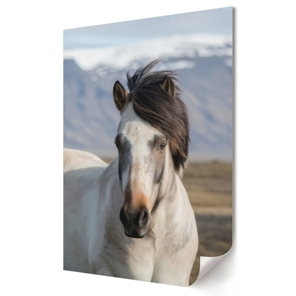 Poster de perete cu cal elegant într-un peisaj natural