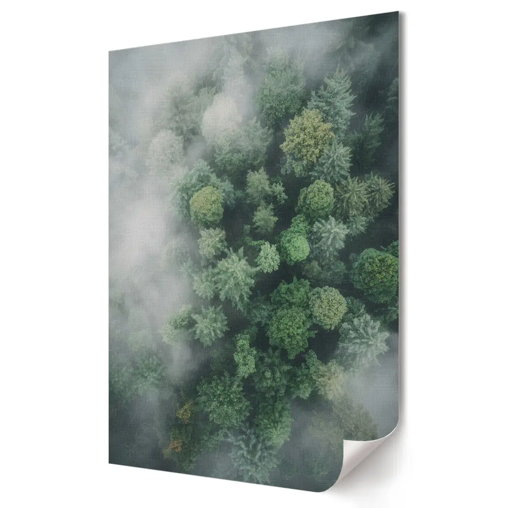 Poster decorativ Oază verde în pădurea încețoșată