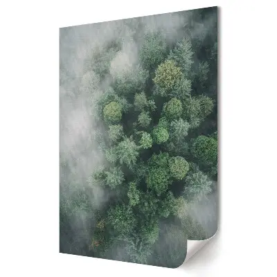 Poster decorativ Oază verde în pădurea încețoșată