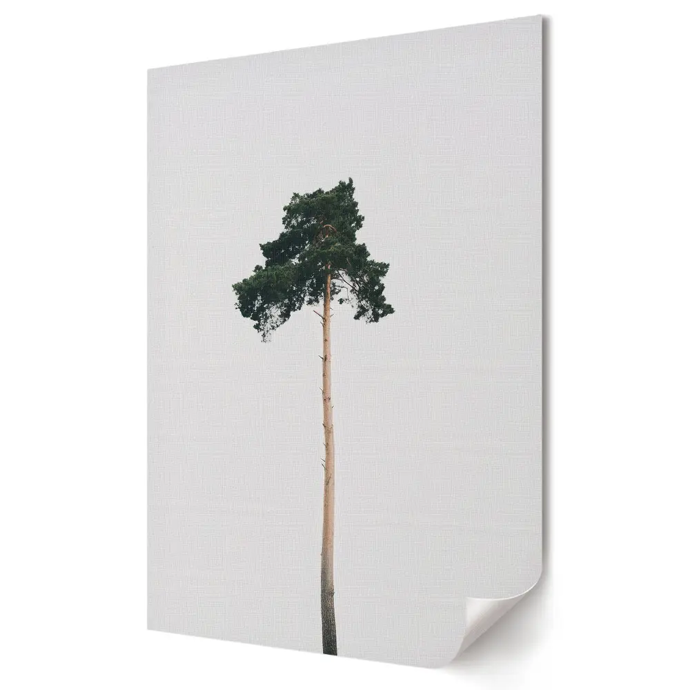 Poster decorativ cu pin singuratic pe fundal alb