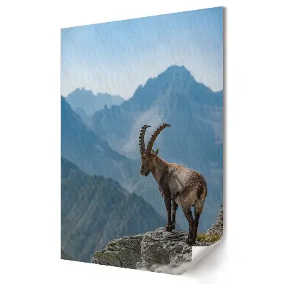Poster decorativ cu ibex de munte pe vârf