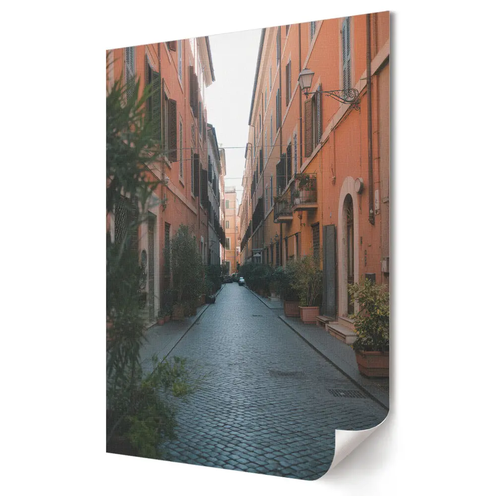 Tablou canvas reprezentând o stradă pitorească din Roma