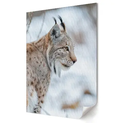 Tablou canvas Râs în îmbrățișarea iernii