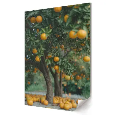 Tablou canvas Portocale aurii în livadă însorită