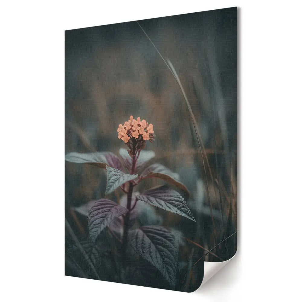 Poster decorativ Eleganță florală delicată în umbră