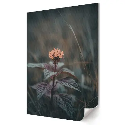 Poster decorativ Eleganță florală delicată în umbră
