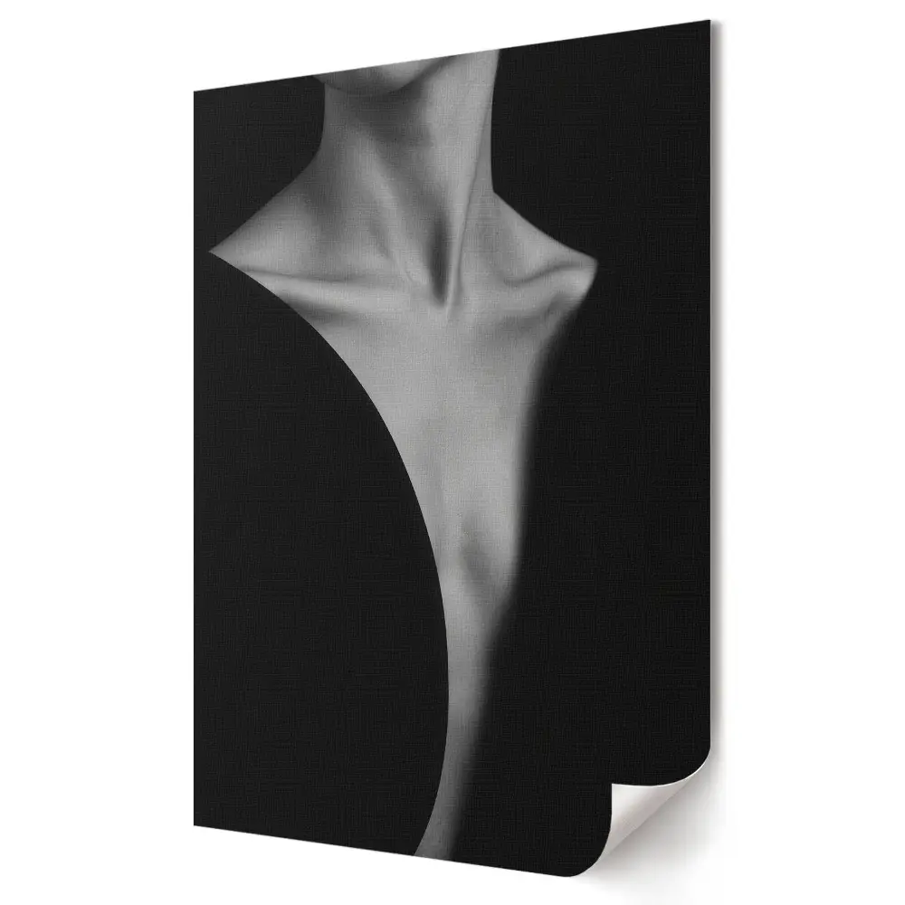 Tablou canvas cu grafică murală monocromă Umbră și lumină