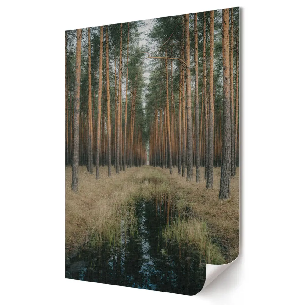 Poster decorativ Pădure de iarnă cu reflexie în apă