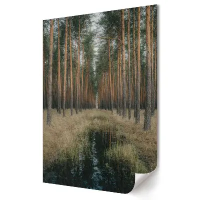 Poster decorativ Pădure de iarnă cu reflexie în apă