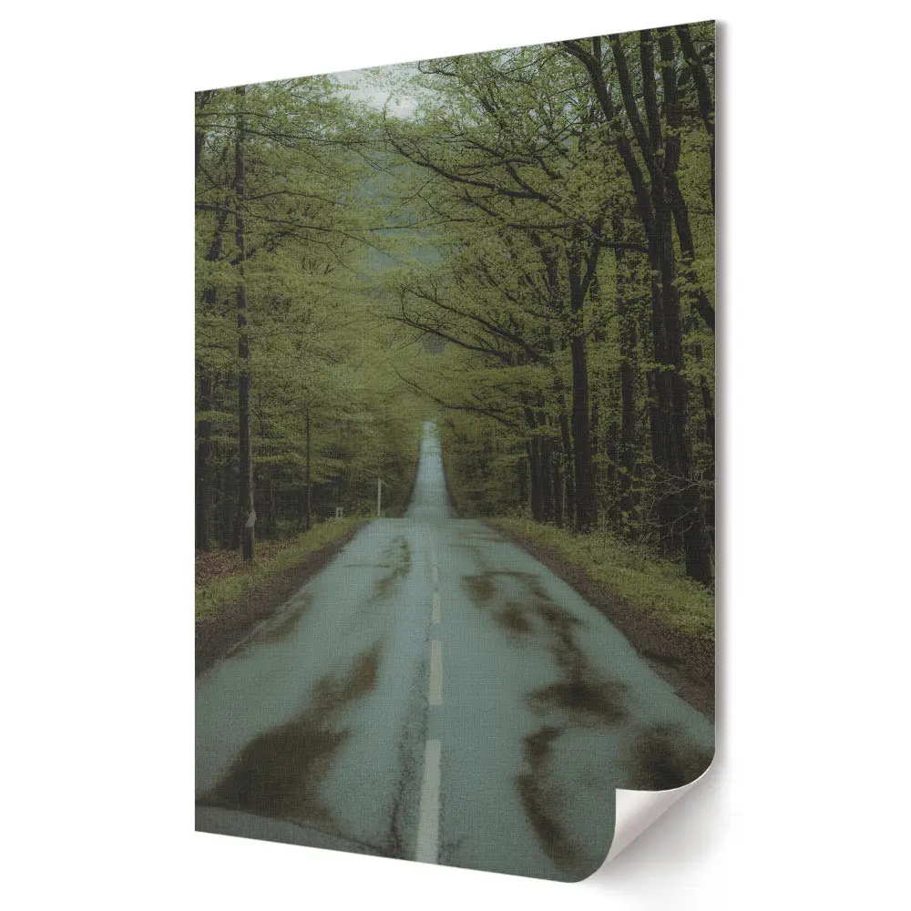 Poster decorativ cu drum verde în pădure